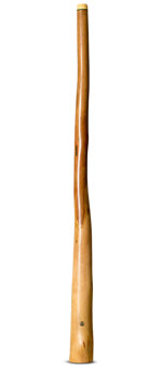 Wix Stix Didgeridoo (WS214)
